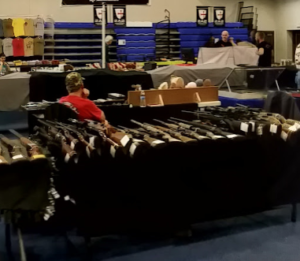 Hiawassee Georgia Gun Show Gem
