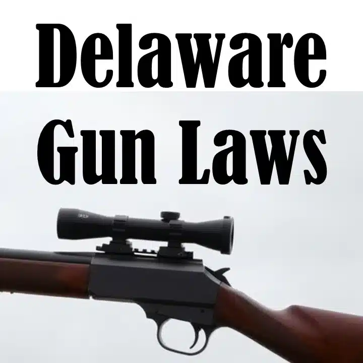 Delaware Gun Laws