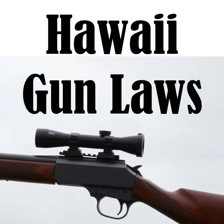 Hawaii Gun Laws