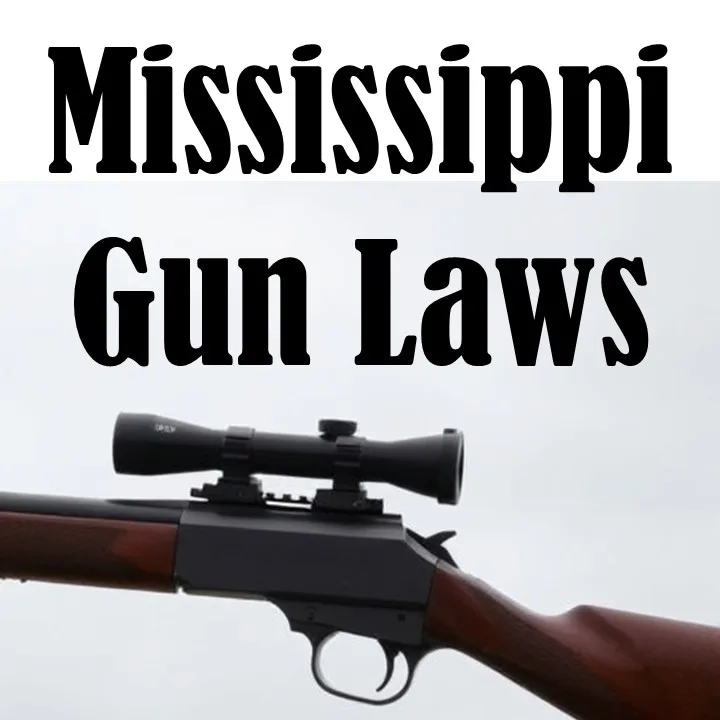 Mississippi Gun Laws
