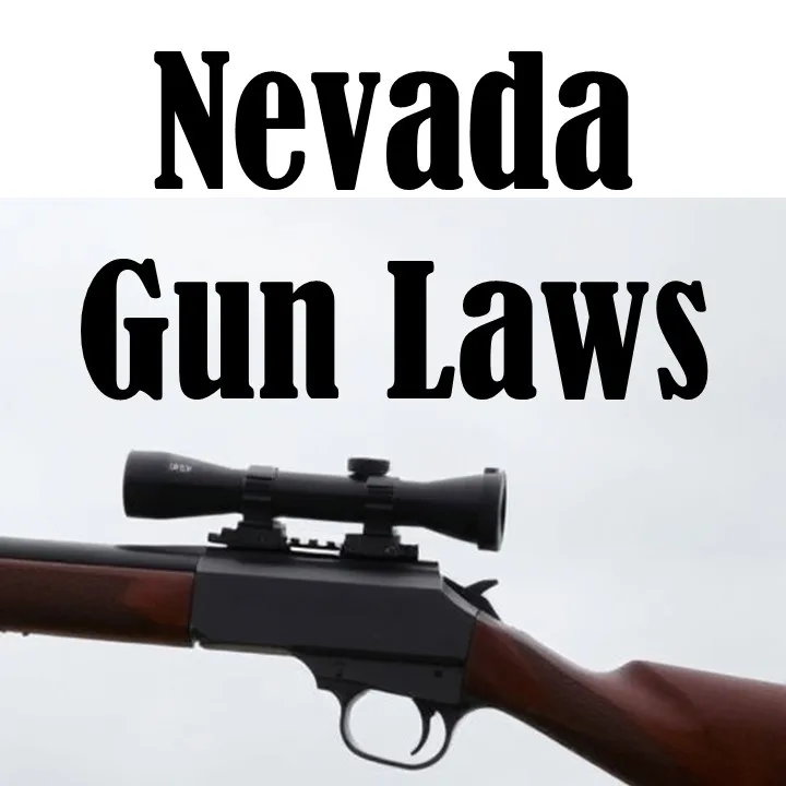 Nevada Gun Laws