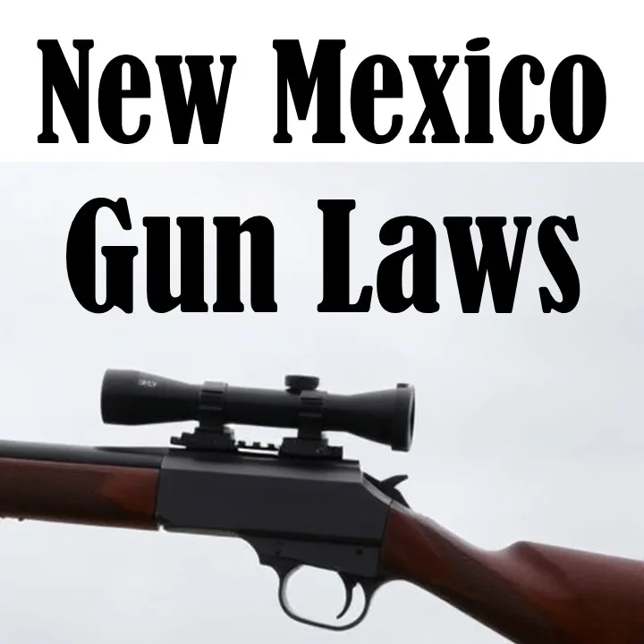 New Mexico Gun Laws