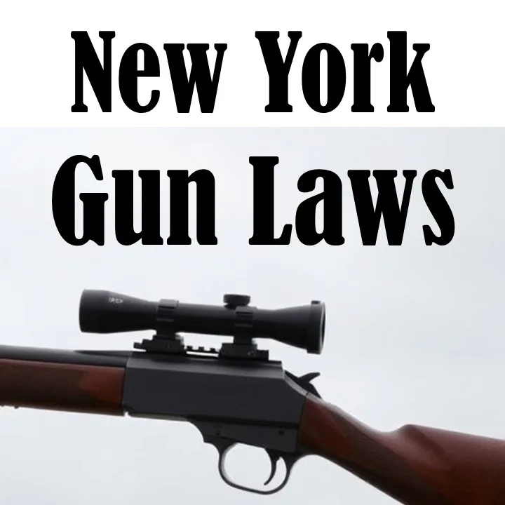 New York Gun Laws