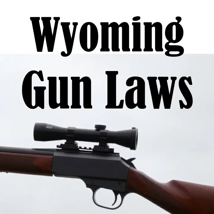 Wyoming Gun Laws
